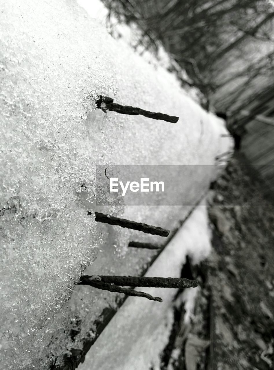 Barbed wire covered with snow