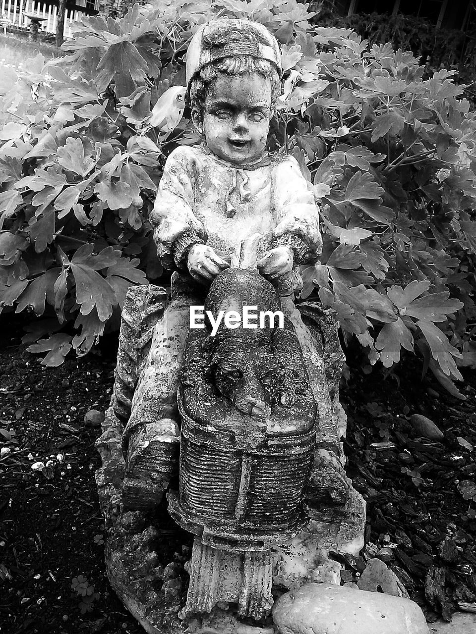 Close-up of statue against plants