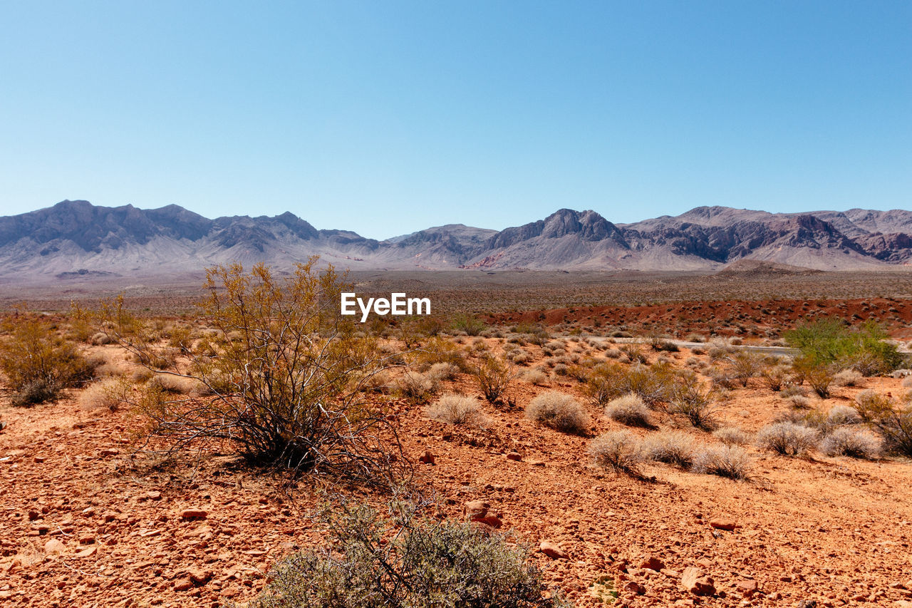 Scenic view of arid landscape against clear sky