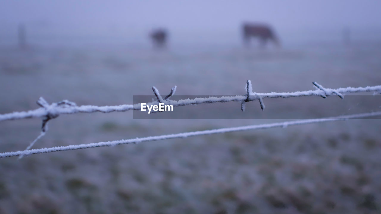 CLOSE-UP OF SNOW ON FIELD AGAINST SKY