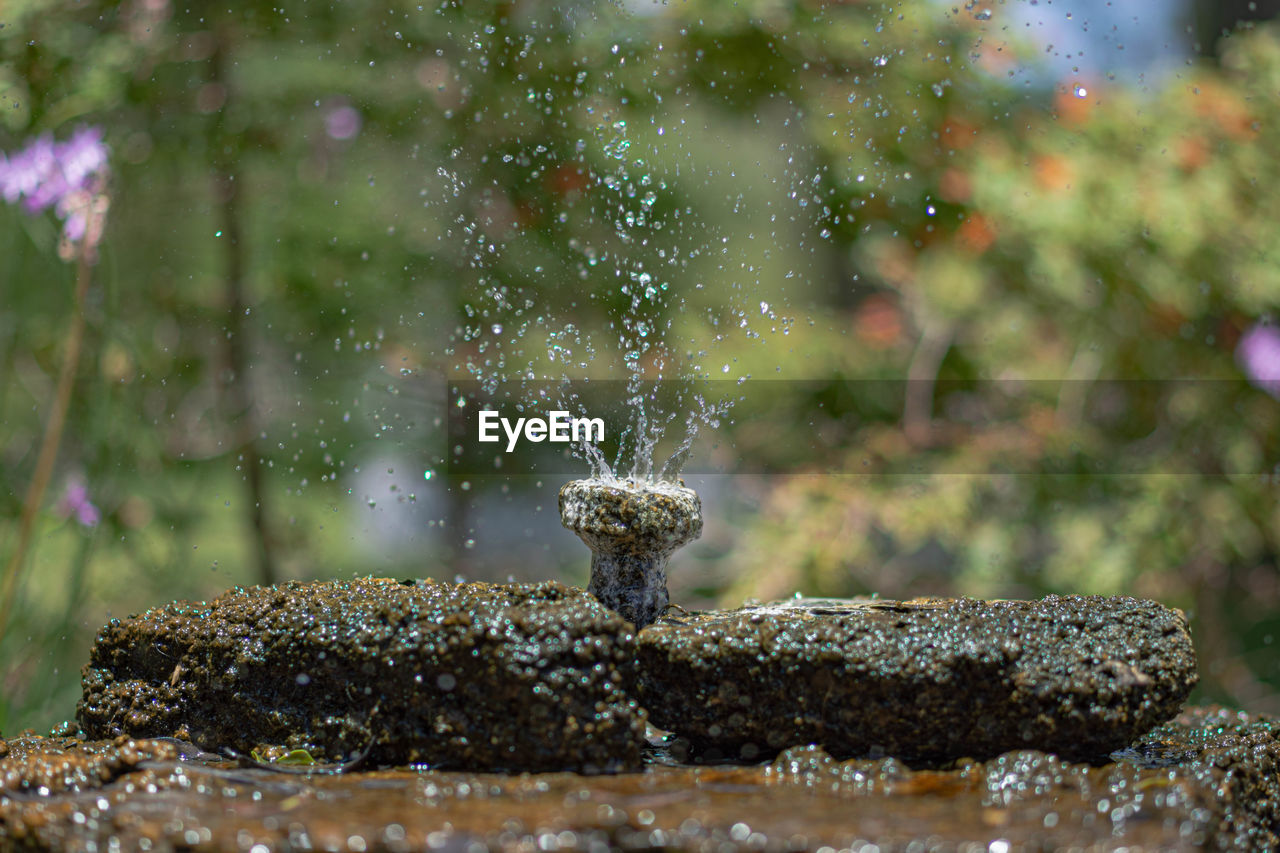 Close-up of water drops on rocks