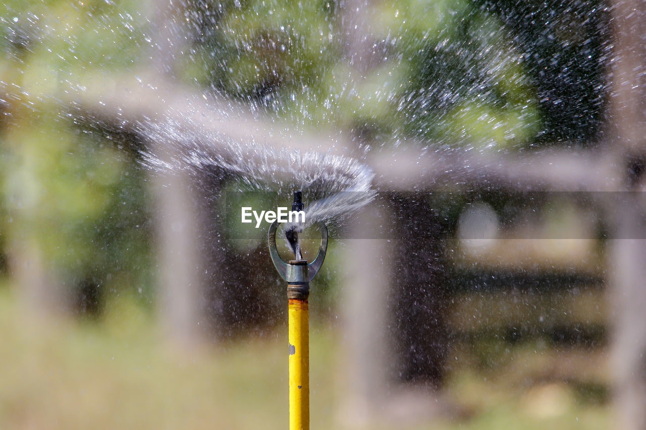 Water spraying from sprinkler outdoors