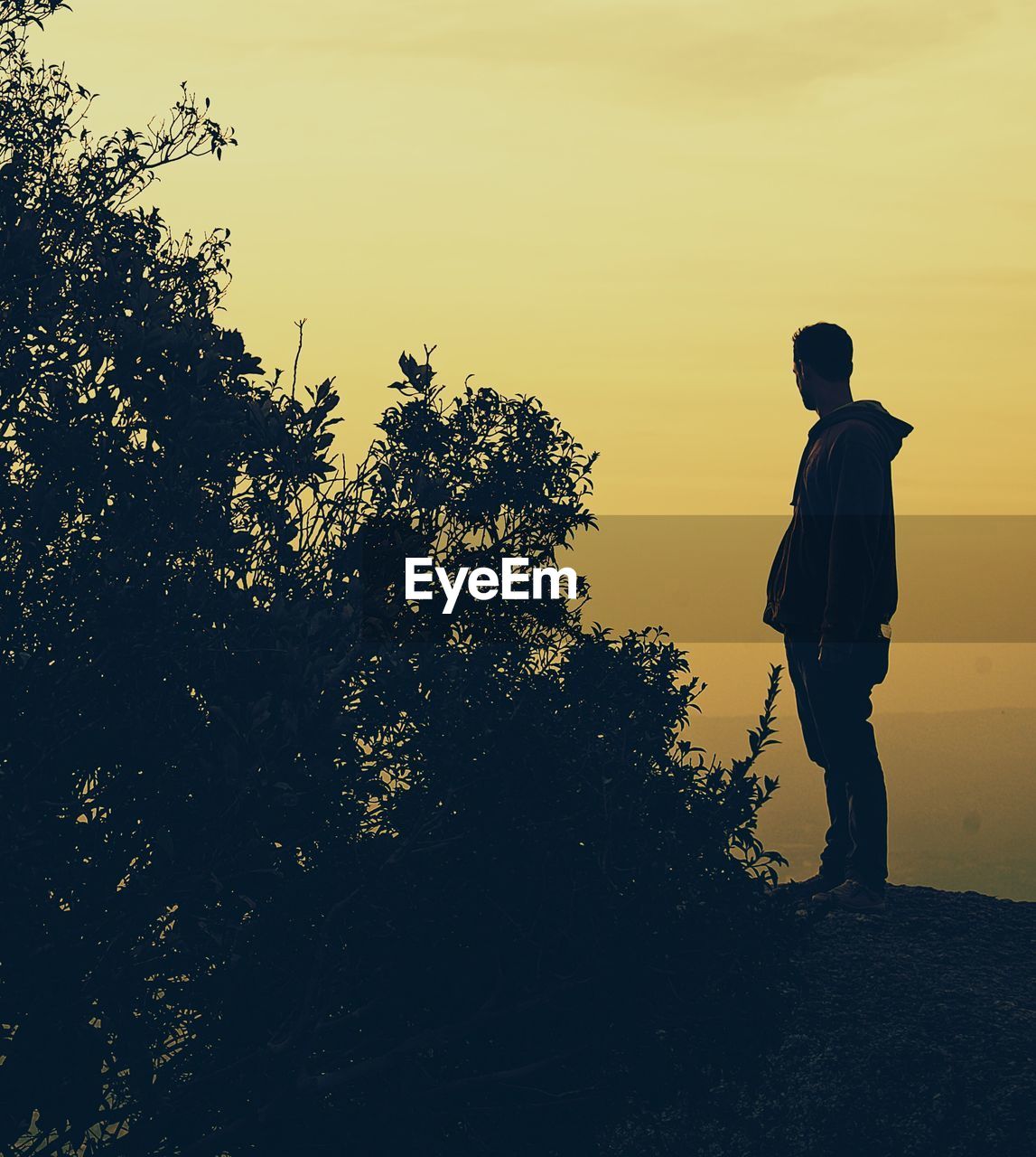 SILHOUETTE MAN STANDING BY TREE ON FIELD AGAINST SKY AT SUNSET