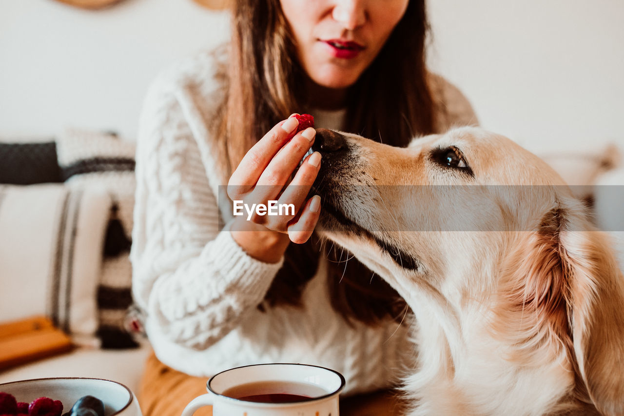 Midsection of woman feeding dog at home