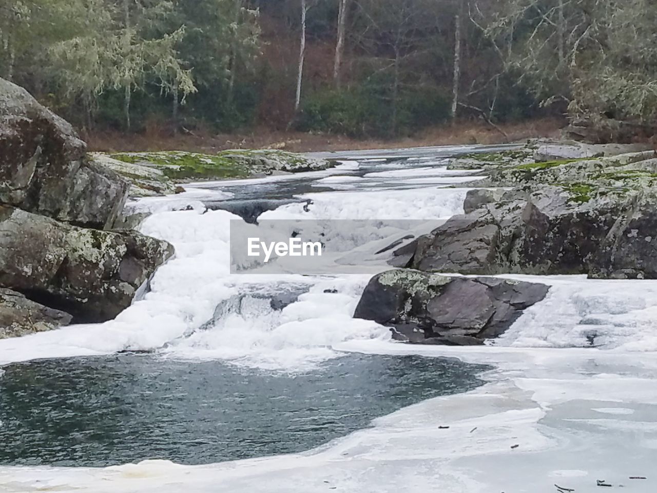 VIEW OF FROZEN RIVER IN FOREST