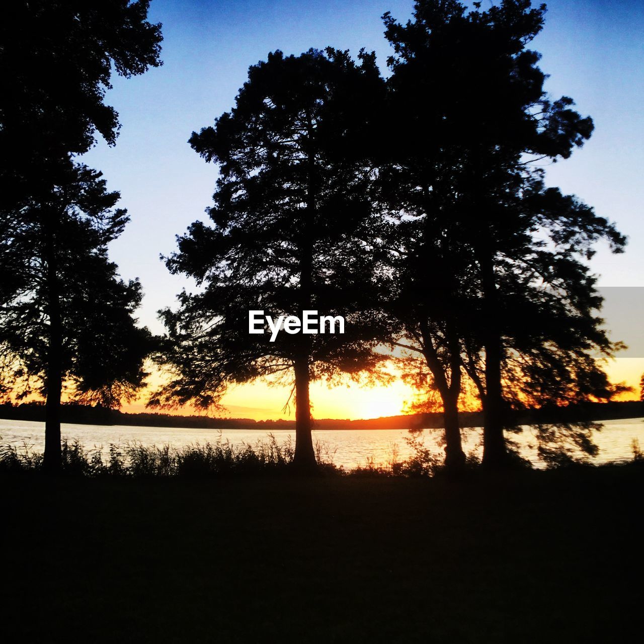 SILHOUETTE TREES ON LANDSCAPE AGAINST SUNSET SKY