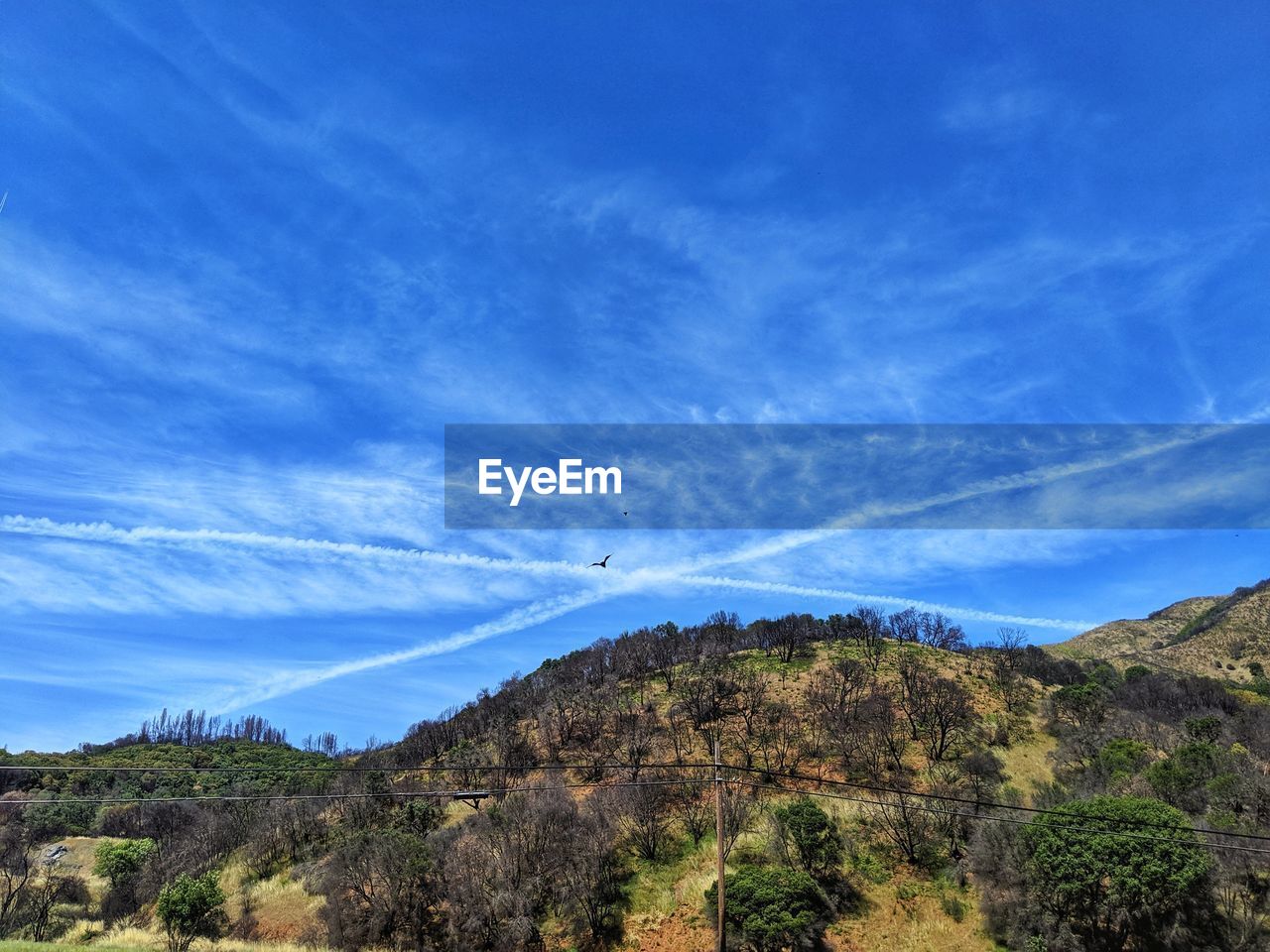 Mountain regrowth after fire against blue sky rebirth