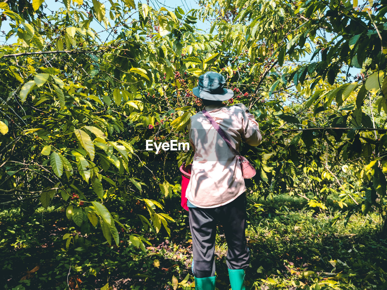 FULL LENGTH REAR VIEW OF WOMAN STANDING BY TREE