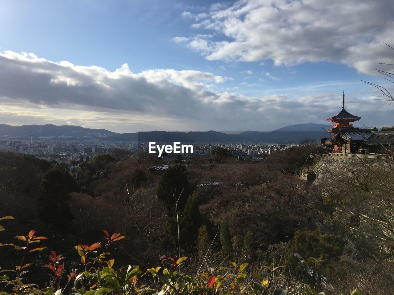 SCENIC VIEW OF TREES AND MOUNTAINS AGAINST SKY