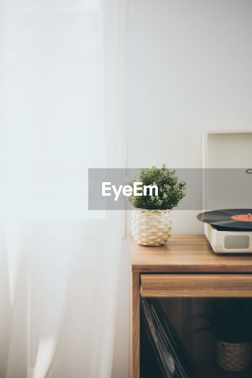 Potted plants on table at home