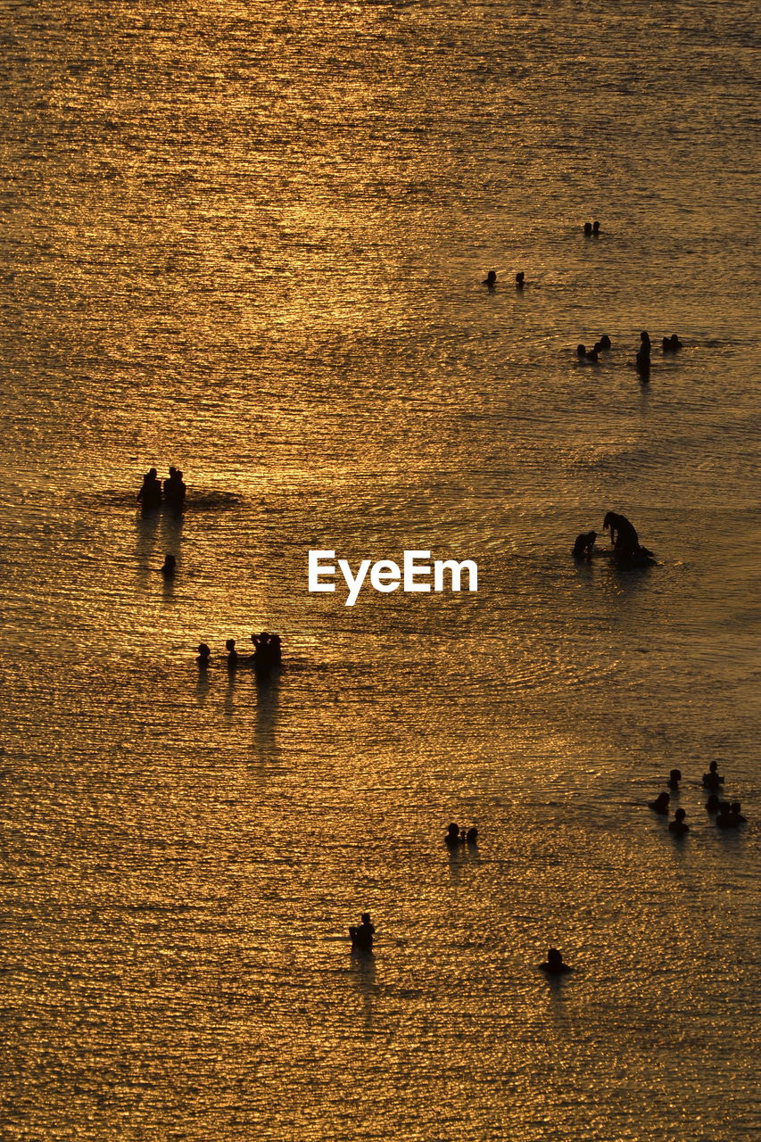 High angle view of silhouette people enjoying in water at beach during sunset