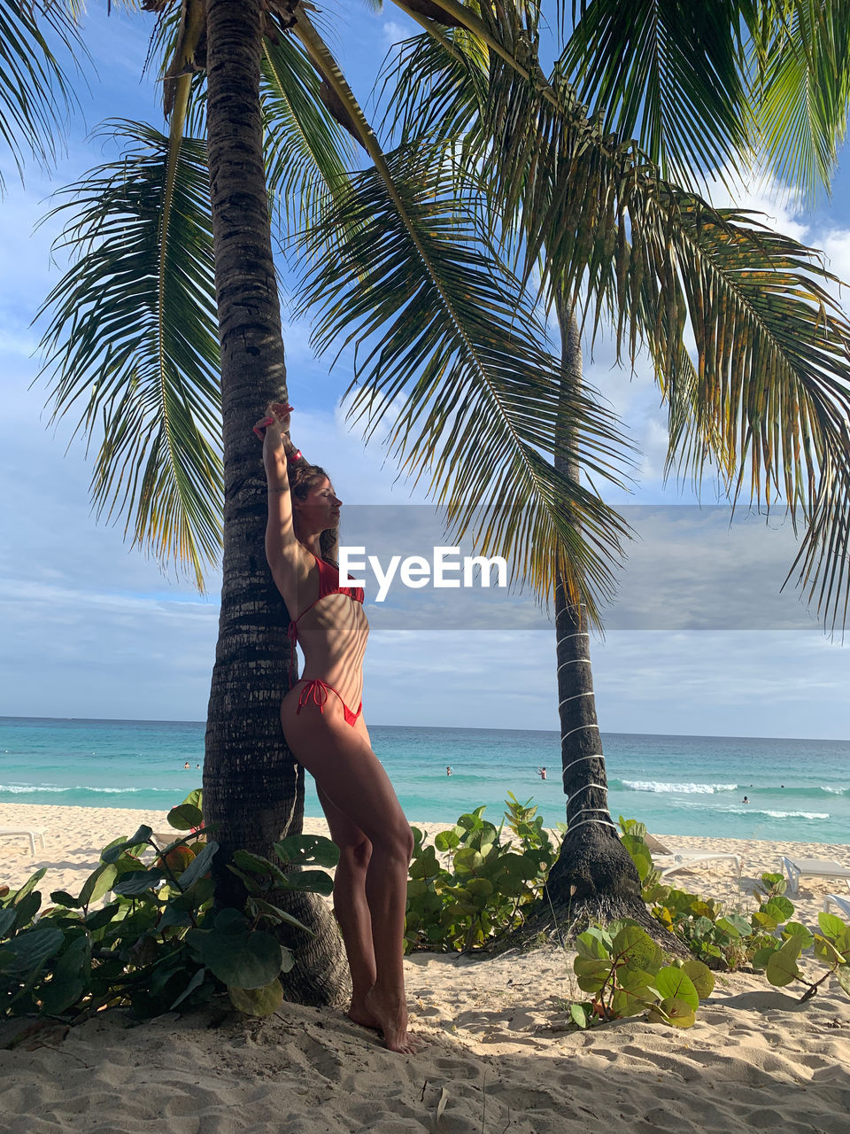 Young woman on palm tree at beach against sky