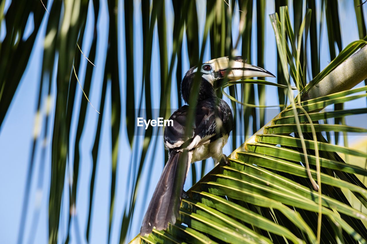 Bird perching on a branch