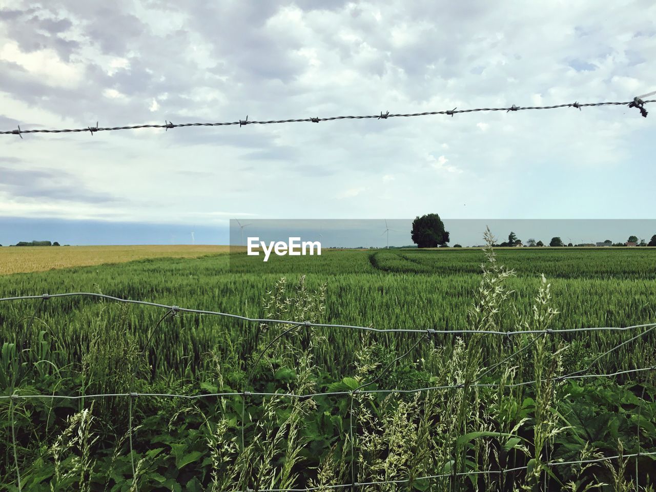 SCENIC VIEW OF FARM AGAINST SKY