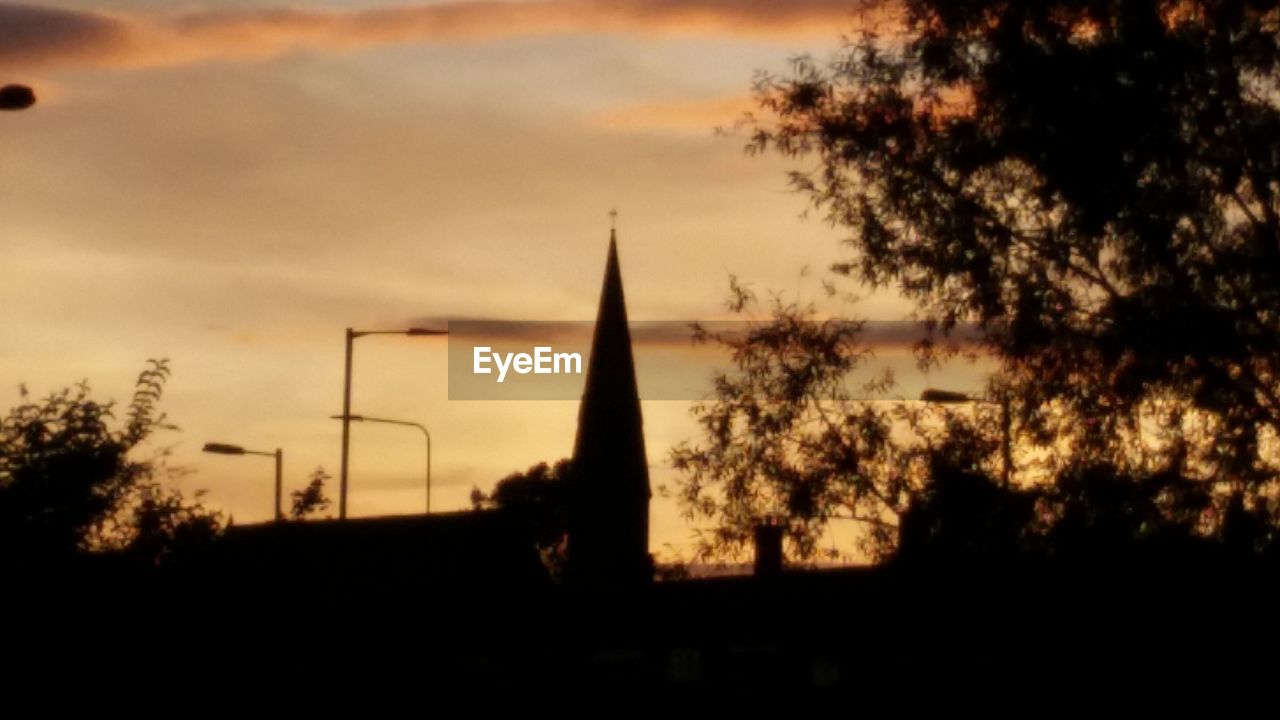 SILHOUETTE OF TREES AT SUNSET