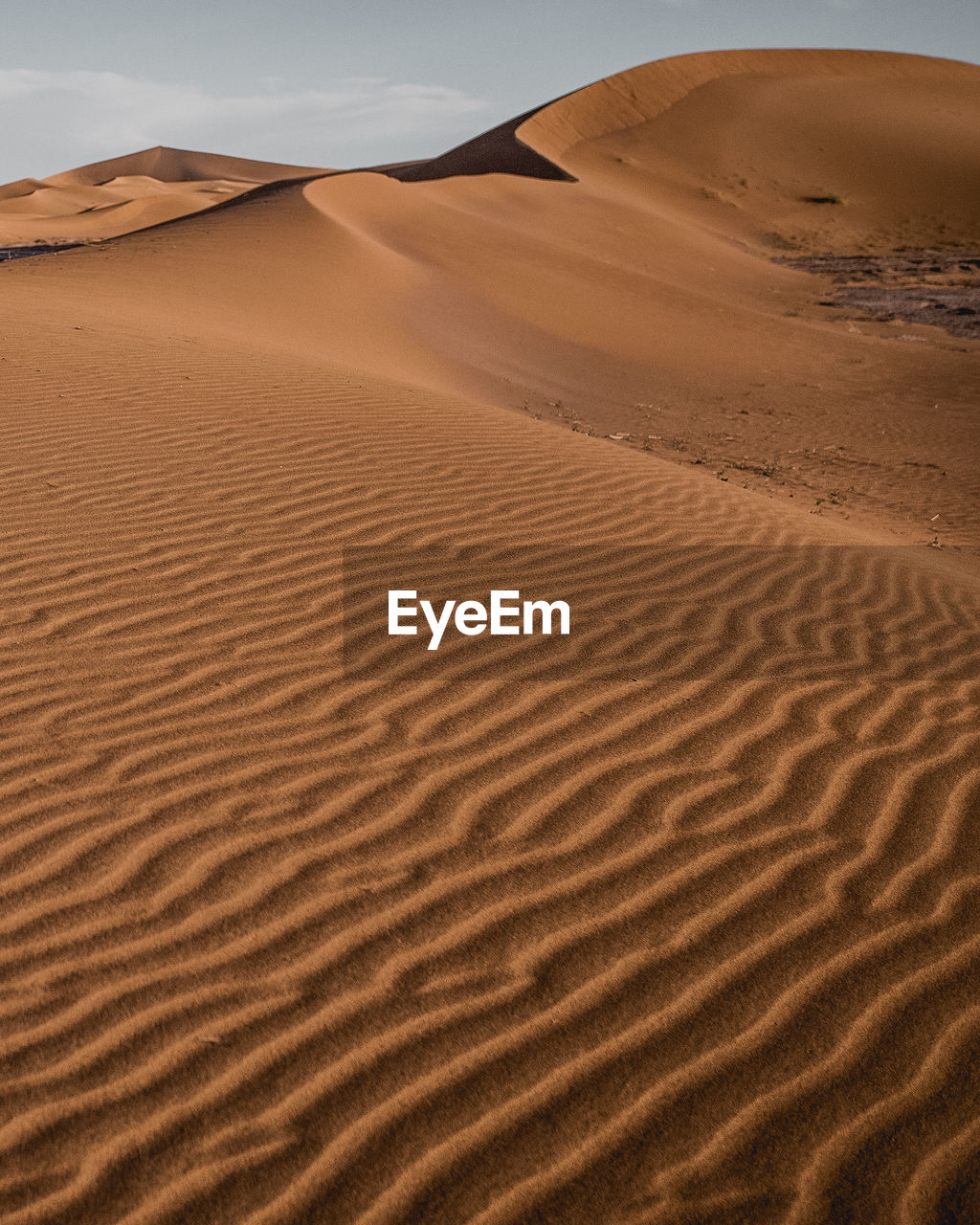 Scenic view of sand dune in desert against sky