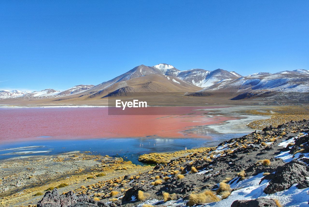 Scenic view of snowcapped mountains against clear blue sky
