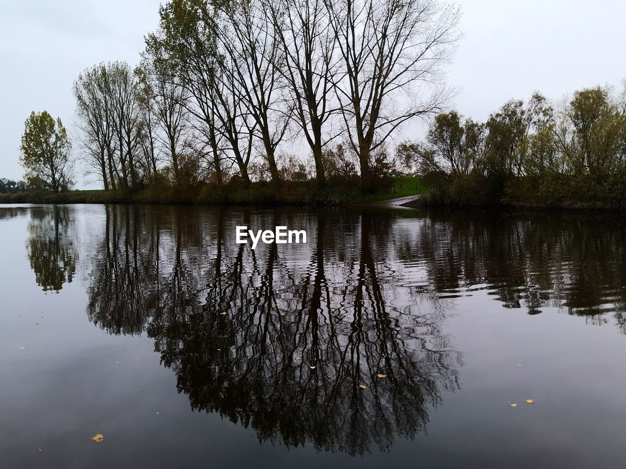 REFLECTION OF TREES ON LAKE AGAINST SKY