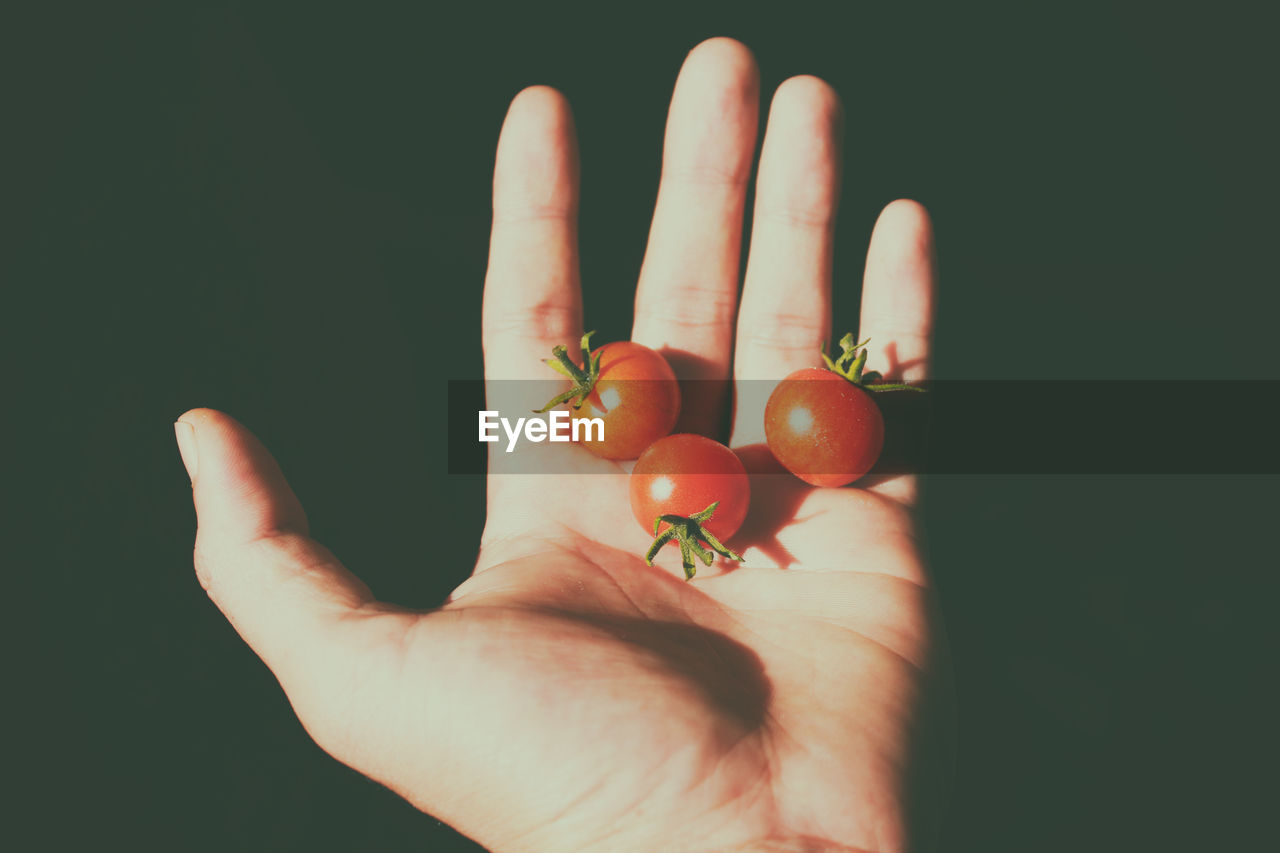 Close-up of hand holding cherry tomatoes