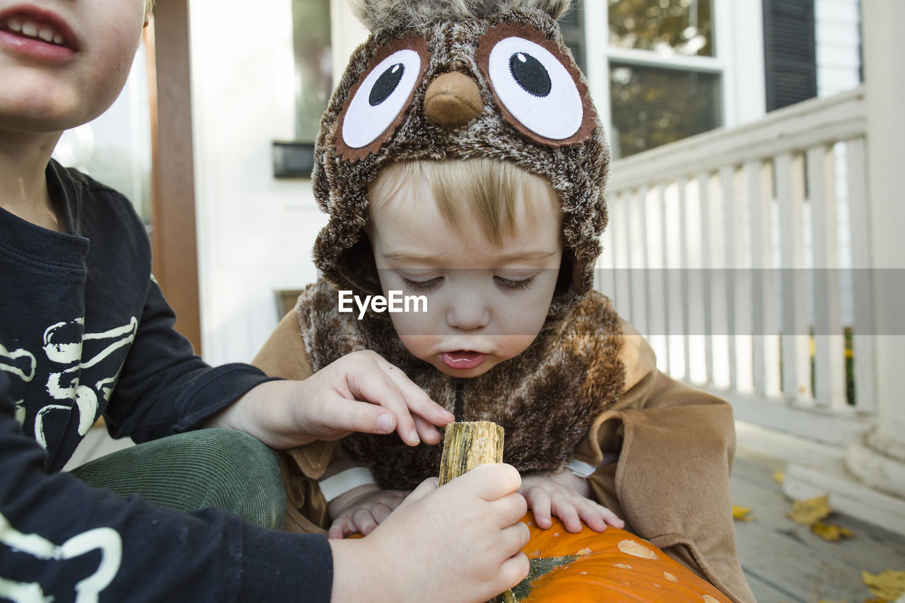 Toddler boy dressed up as an owl closely inspects halloween pumpkin