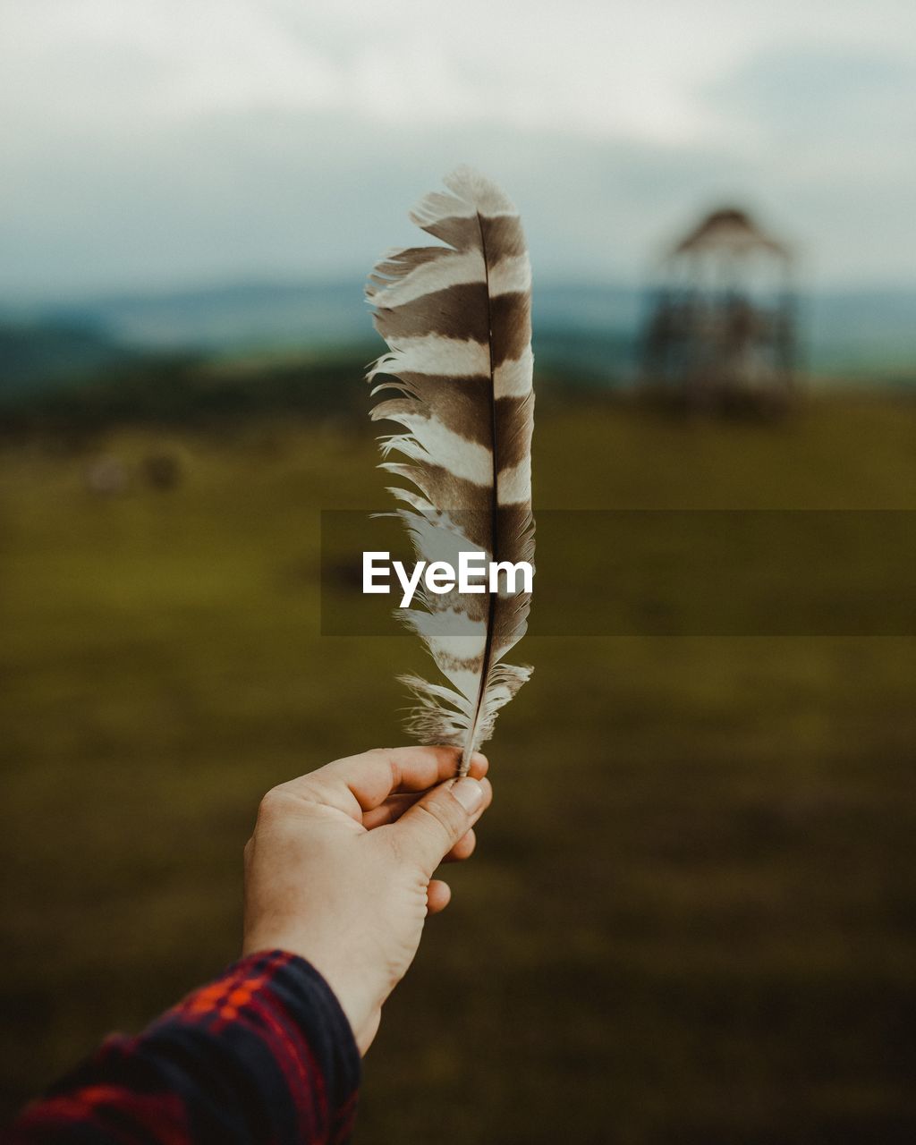 Cropped hand of woman holding feather against cloudy sky