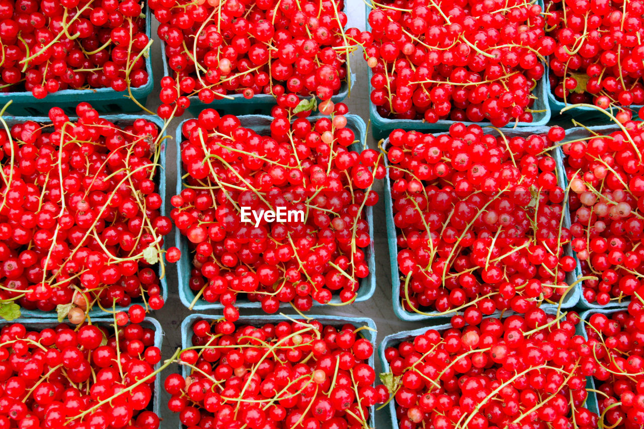 Full frame shot of redcurrants for sale at market