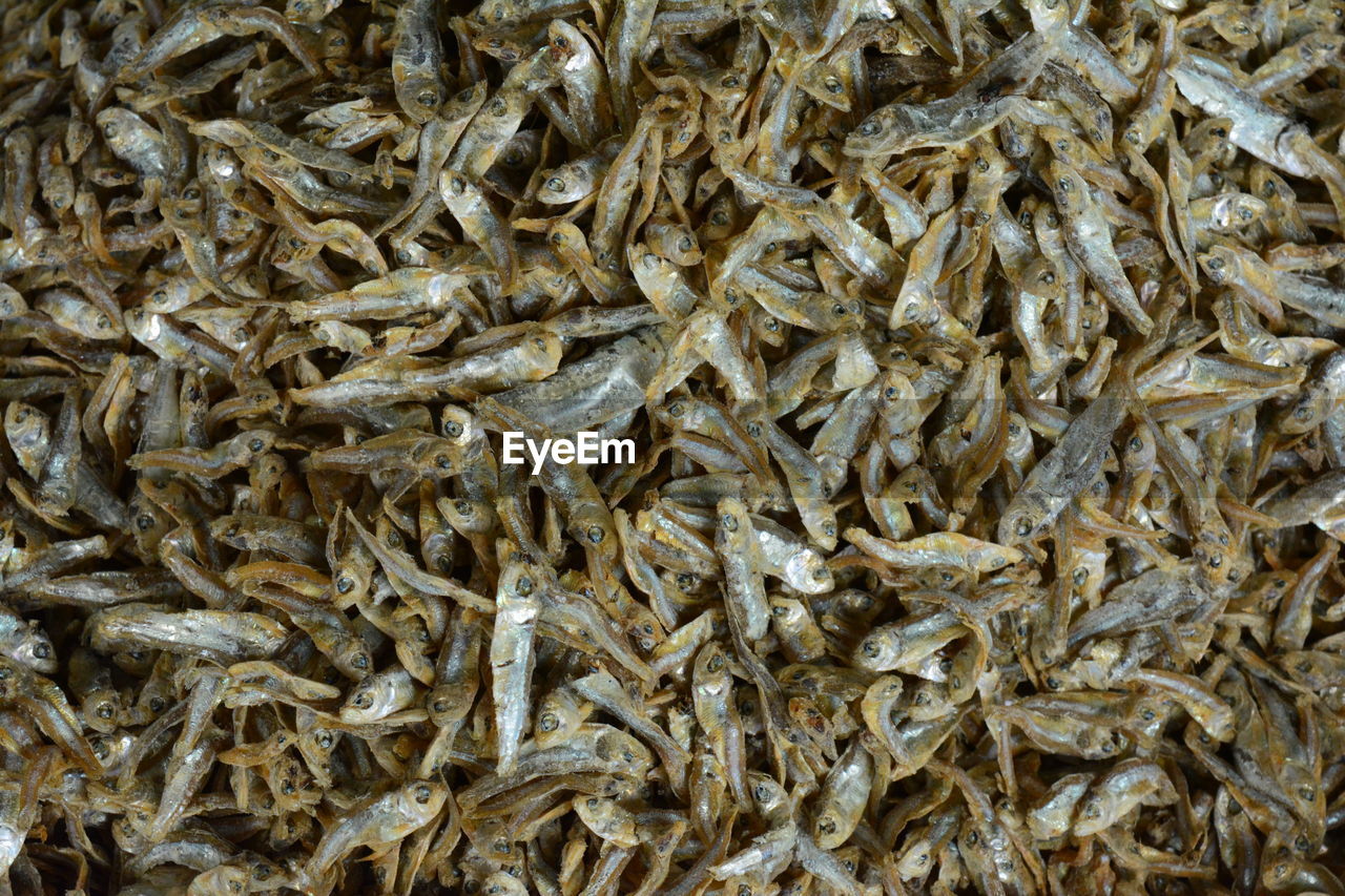 Full frame shot of dried fish for sale in market