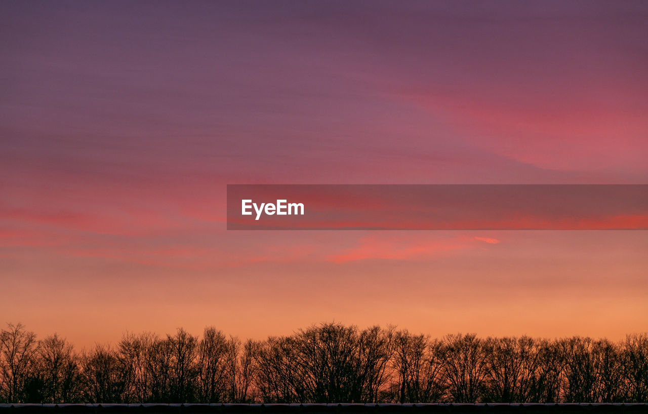 SILHOUETTE TREES ON FIELD AGAINST SKY DURING SUNSET