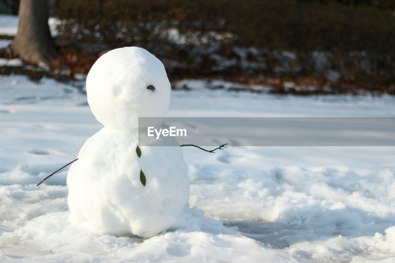 Close-up of snowman on field