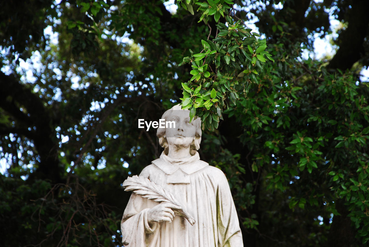 LOW ANGLE VIEW OF STATUES AGAINST TREES