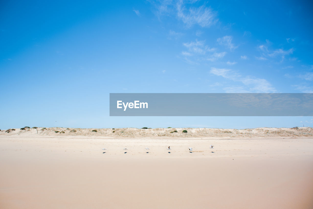 VIEW OF DESERT AGAINST SKY