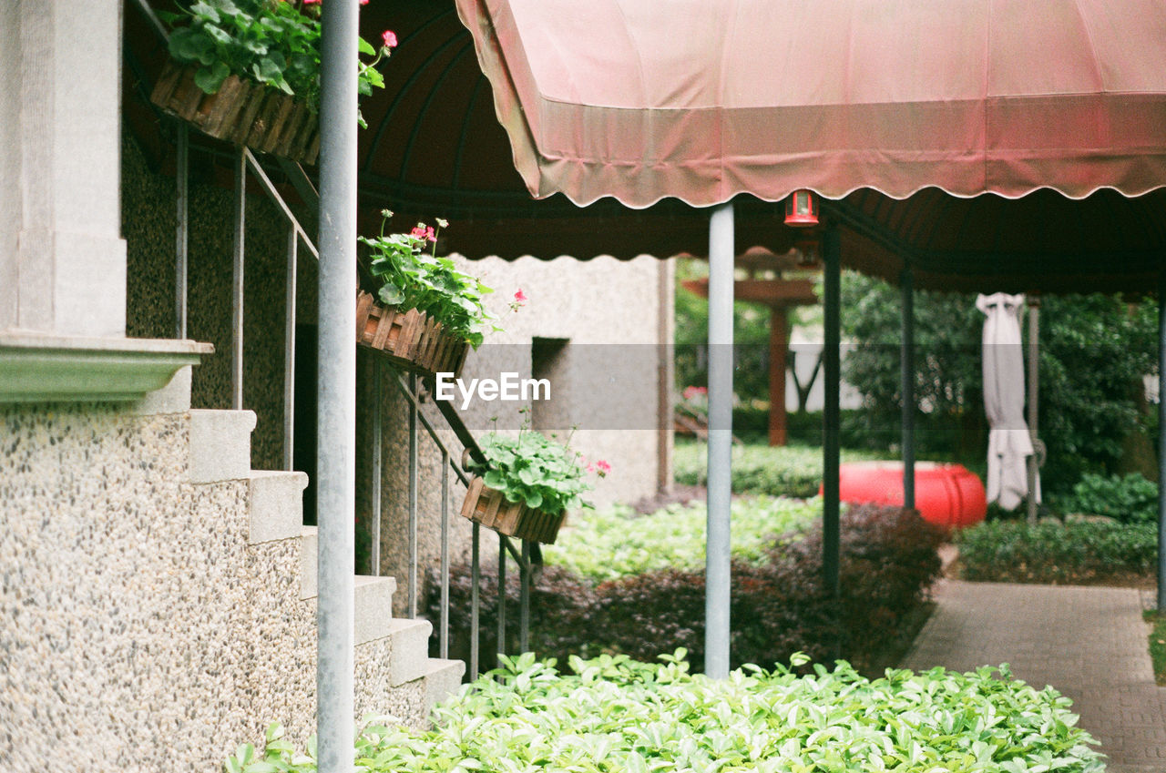 Plants growing in boxes on railing by covered pathway