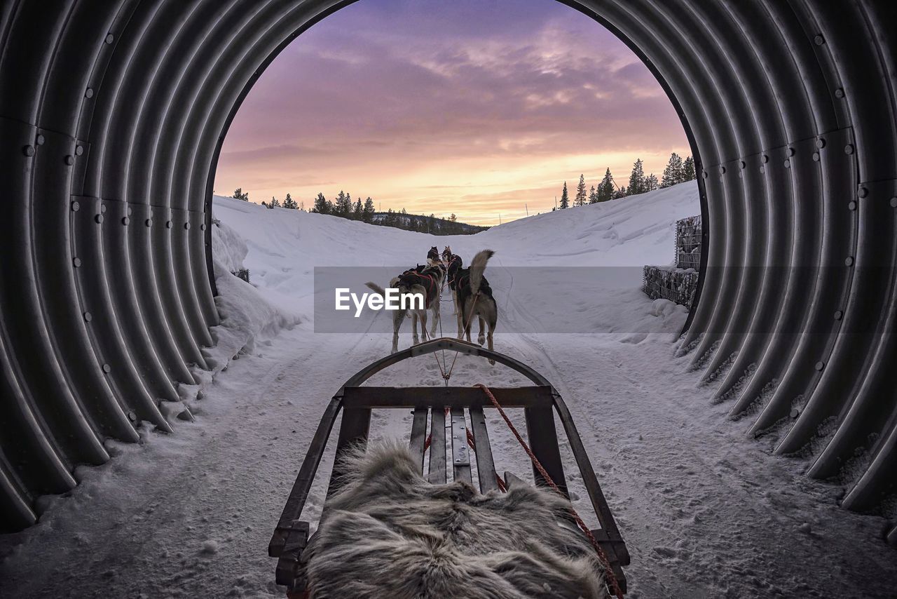 Dogsledding in tunnel during winter