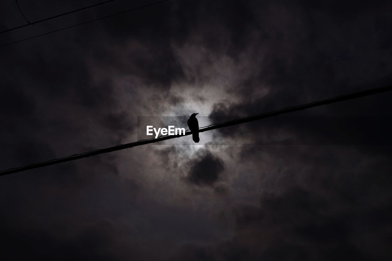 Low angle view of silhouette power lines against sky