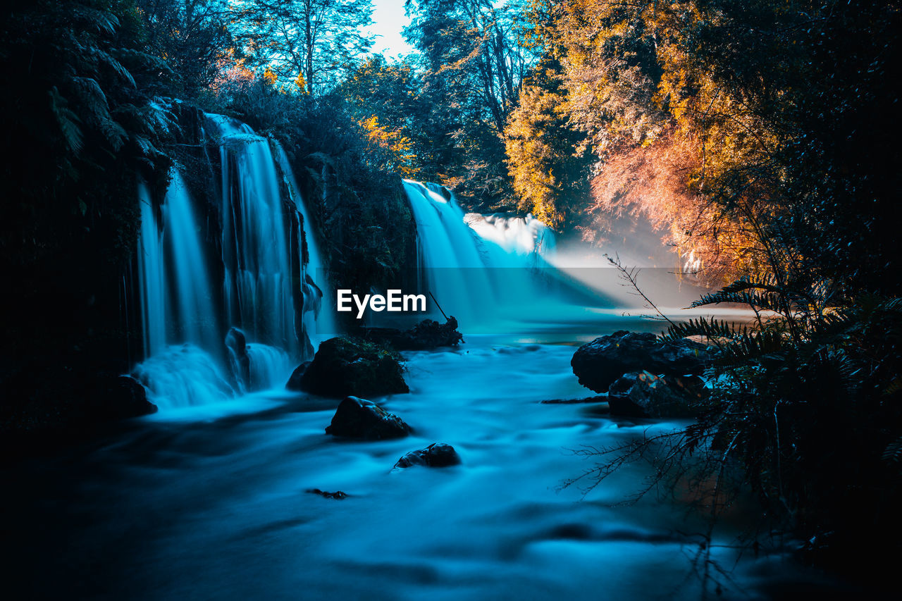 Scenic view of waterfall in forest