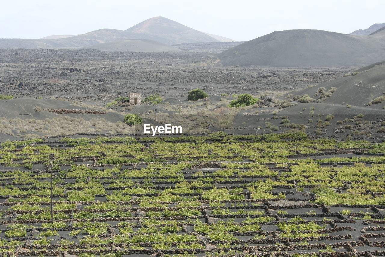 SCENIC VIEW OF AGRICULTURAL LANDSCAPE AGAINST SKY