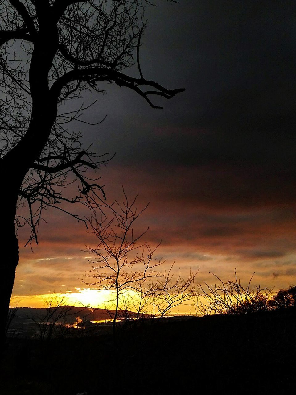 SILHOUETTE TREE AGAINST SKY AT SUNSET