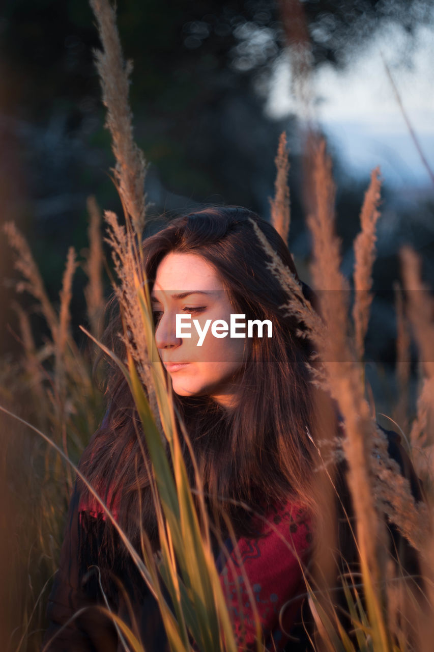 Thoughtful young woman looking away while standing amidst plants during sunset