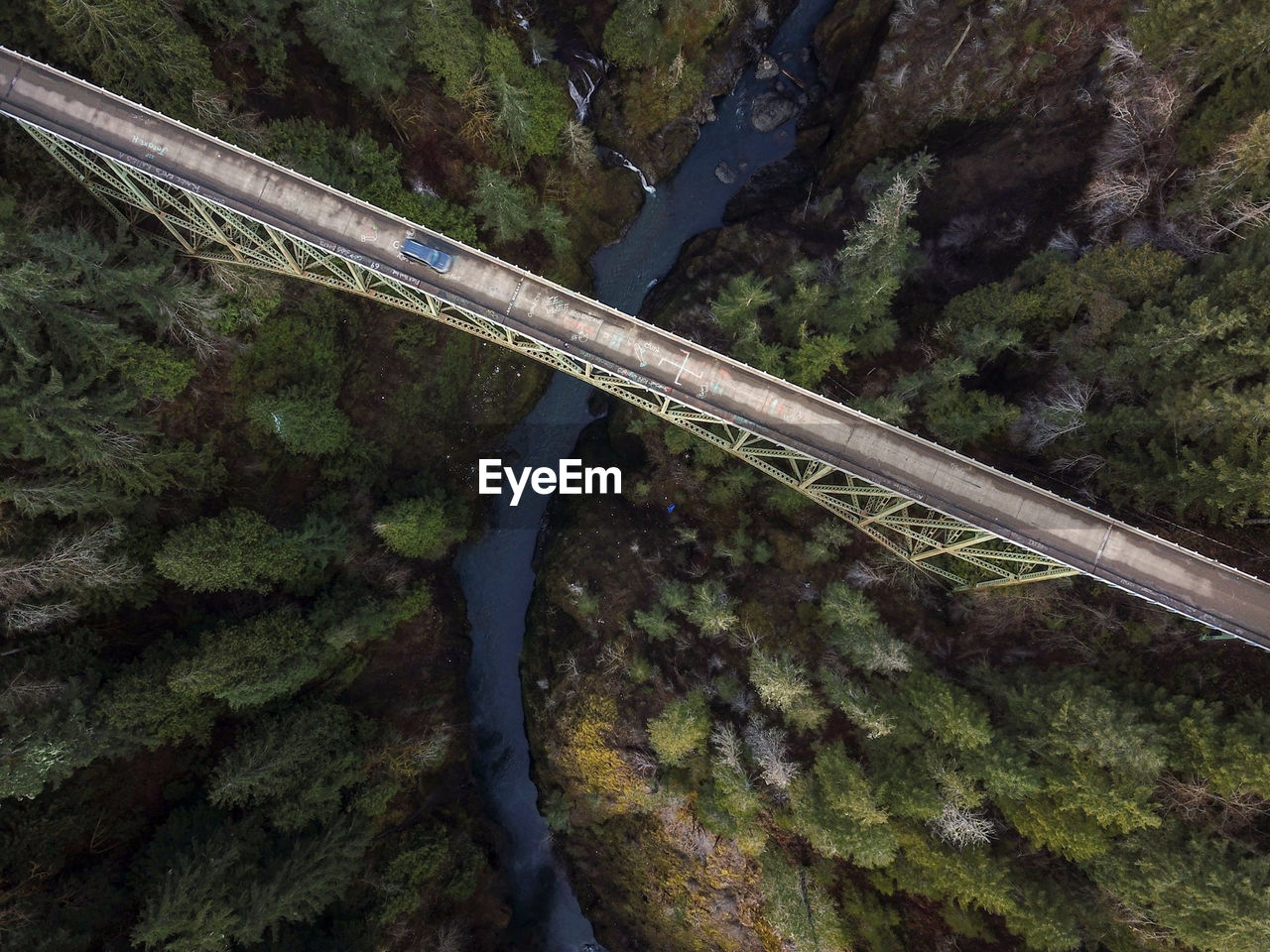 High angle view of bridge over forest