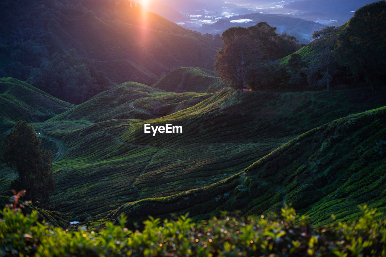 Scenic view of landscape against sky