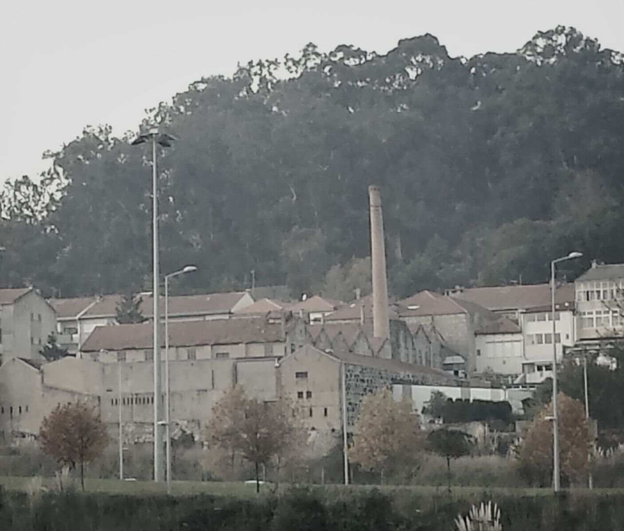 VIEW OF BUILDING WITH TREES IN BACKGROUND