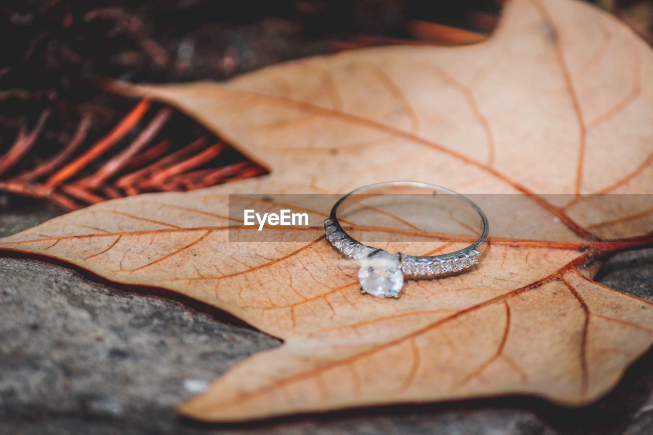 Close-up of engagement ring on dry maple leaf
