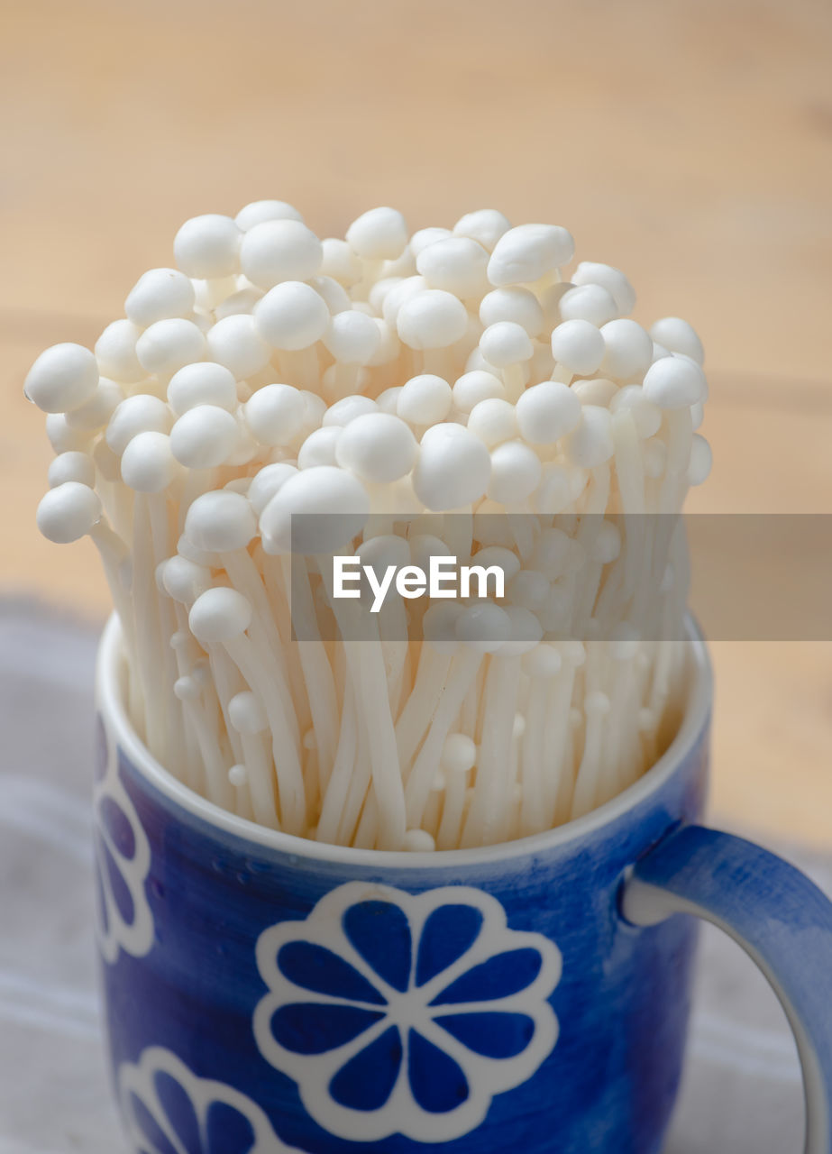 Close-up of mushrooms in cup