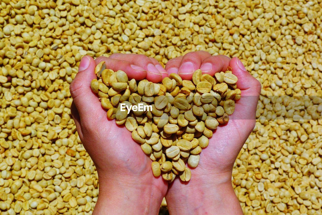 Close-up of human hand holding coffee beans