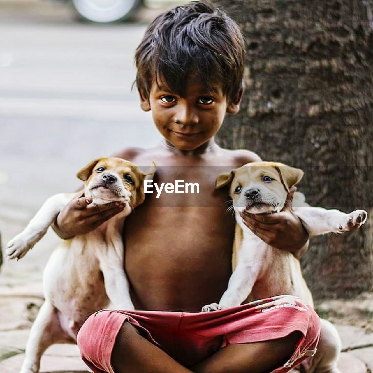 Portrait of cute boy with dogs sitting outdoors