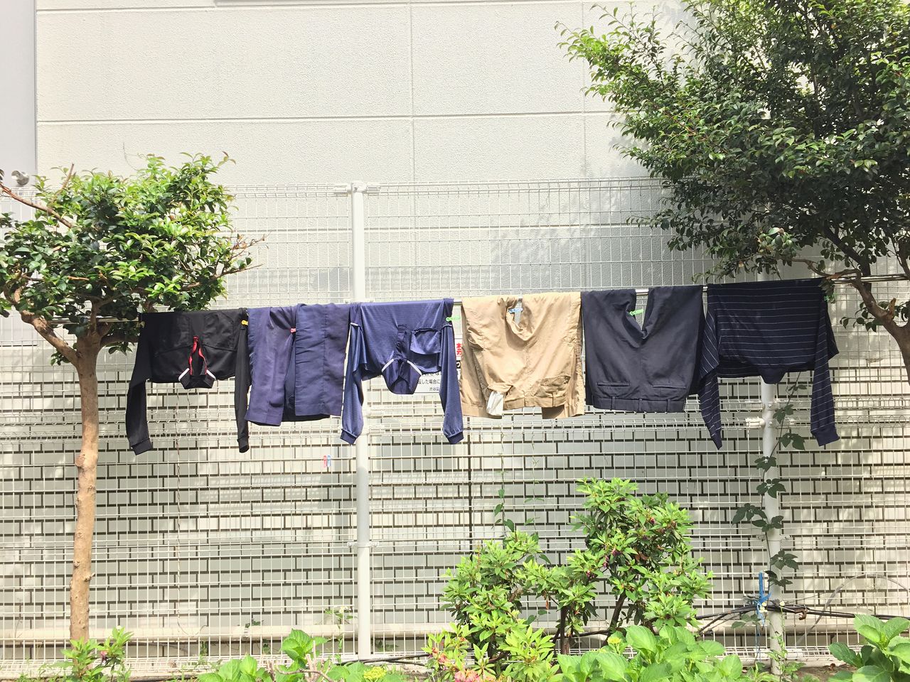 View of clothes line against the wall
