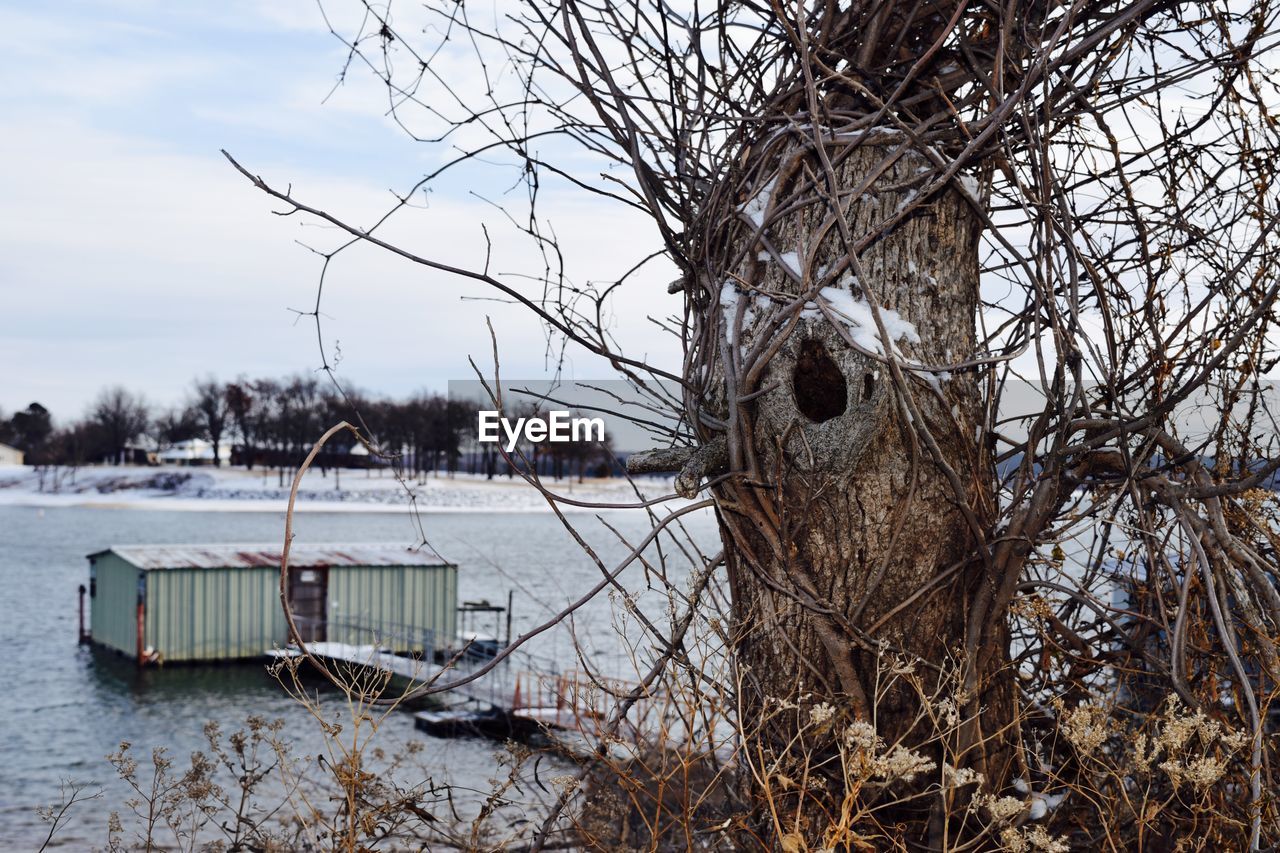 Bare tree by lake against sky during winter