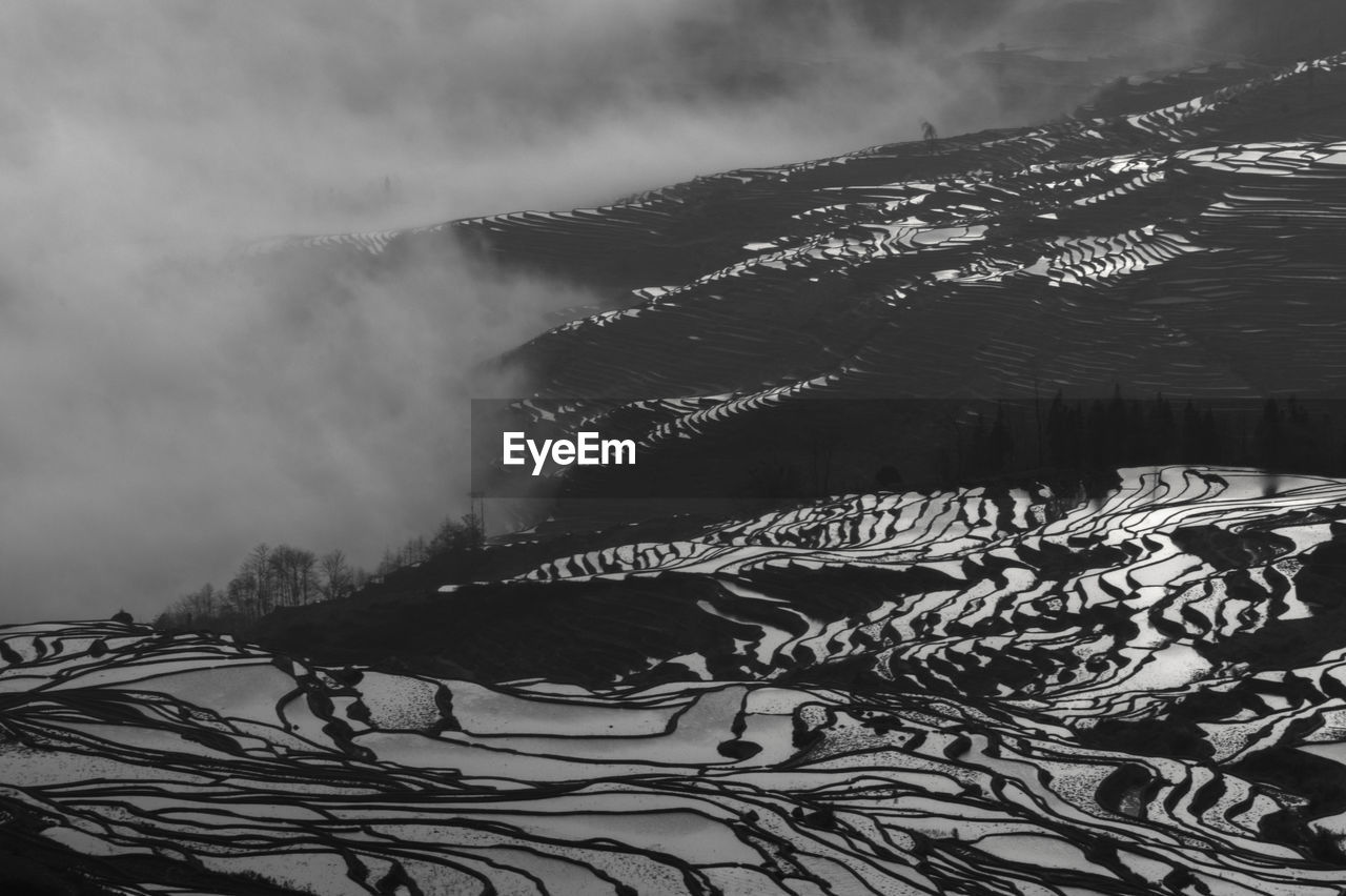 Scenic view of terraced field