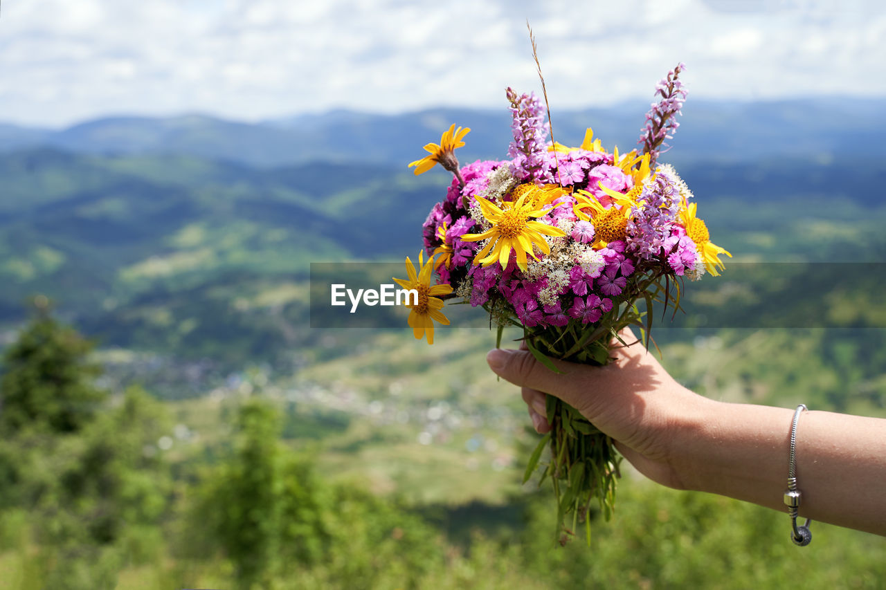 CLOSE-UP OF HAND HOLDING PURPLE FLOWERS ON PLANT