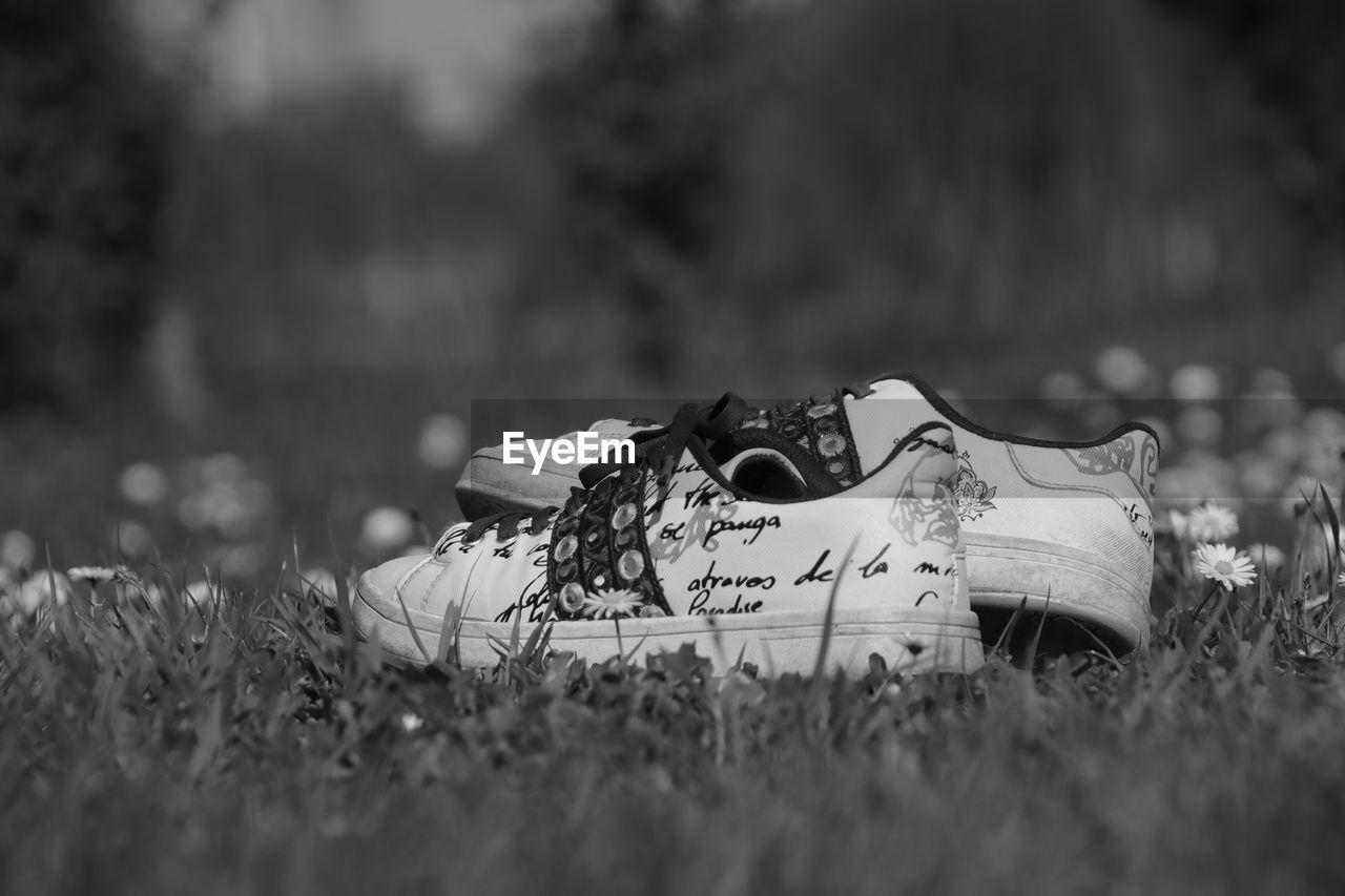 CLOSE-UP OF SHOES ON PLANT